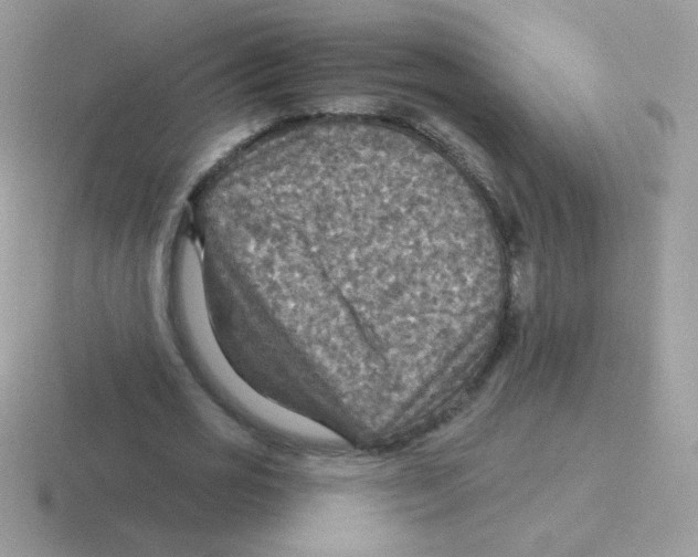 X0000116590725201001071233