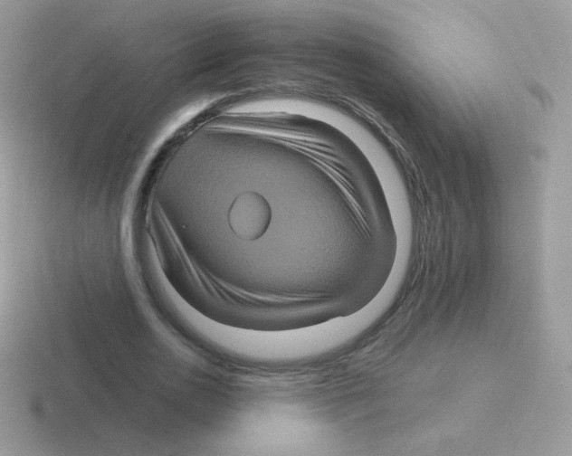 X0000116590726201001071233