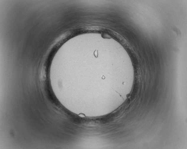 X0000116590731201001071233