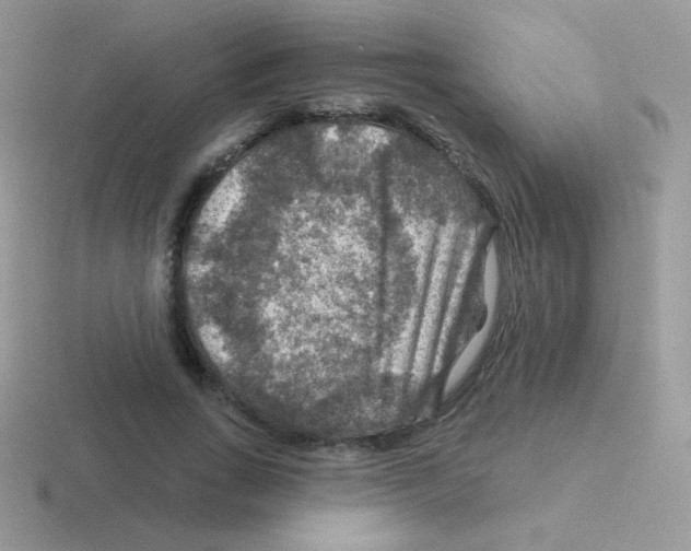 X0000116590735201001071233