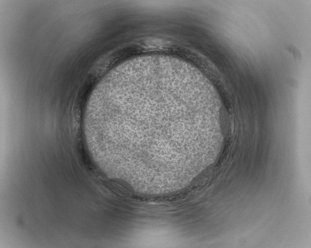 X0000116590737201001071233