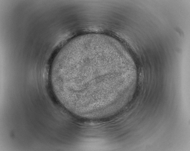 X0000116590739201001071233