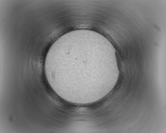 X0000116590741201001071233