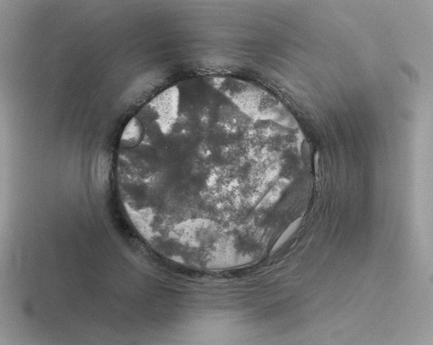 X0000116590742201001071233