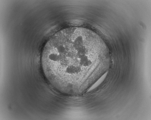 X0000116590745201001071233