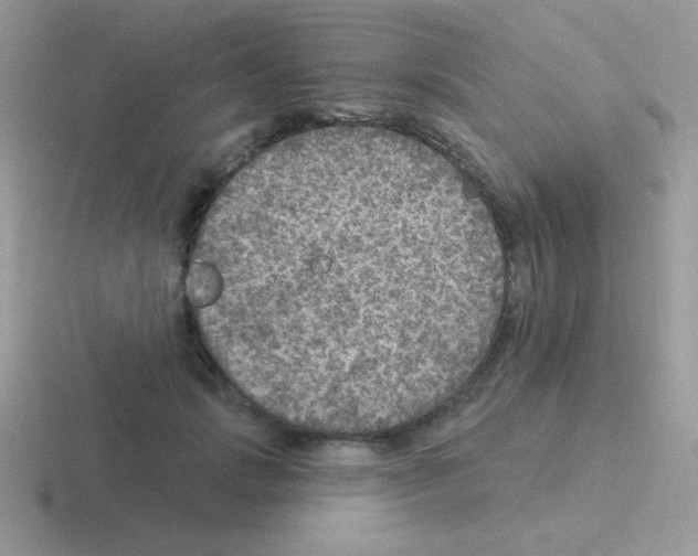 X0000116590749201001071233