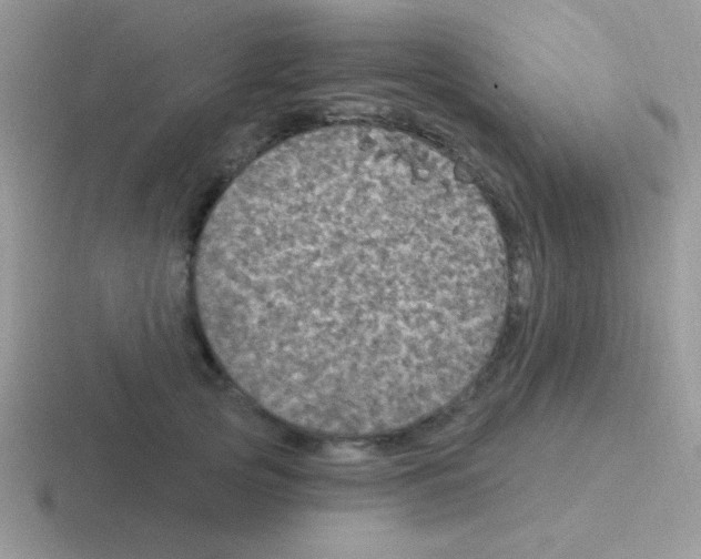 X0000116590753201001071233