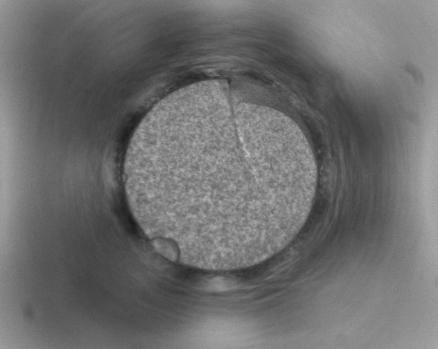 X0000116590755201001071233