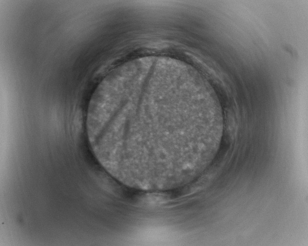 X0000116590758201001071234