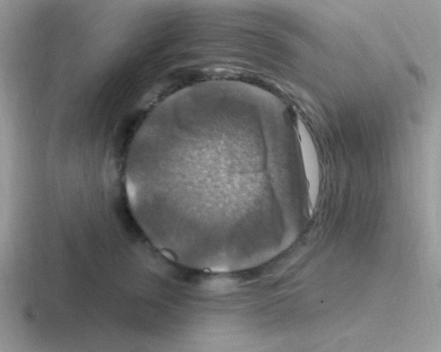 X0000116590759201001071234