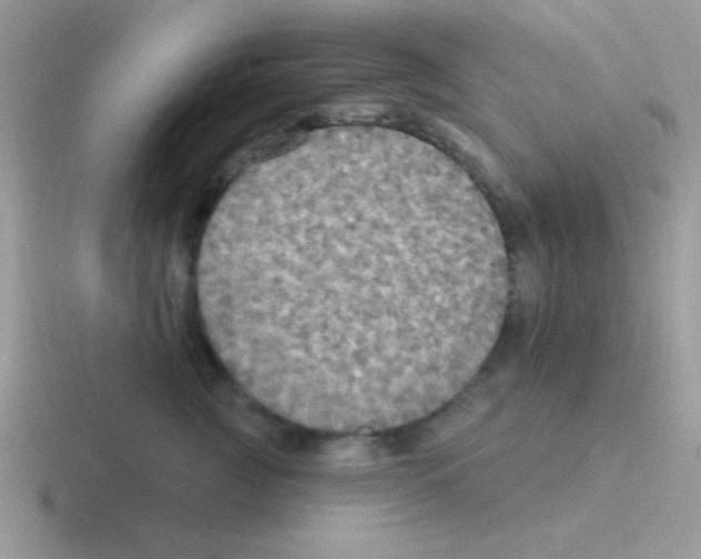 X0000116590761201001071234