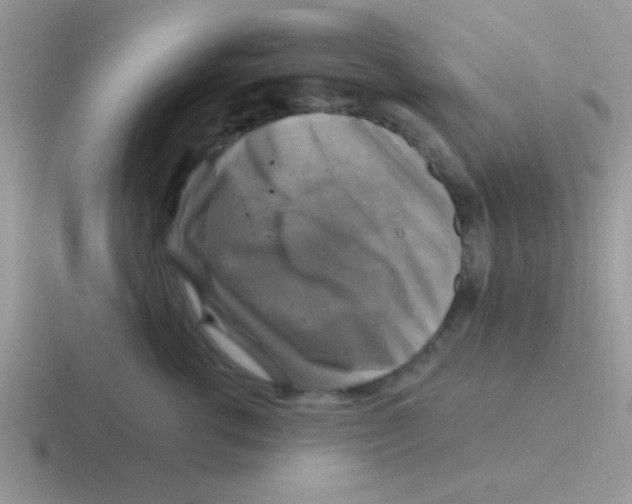 X0000116590762201001071234