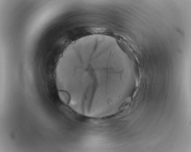 X0000116590763201001071234