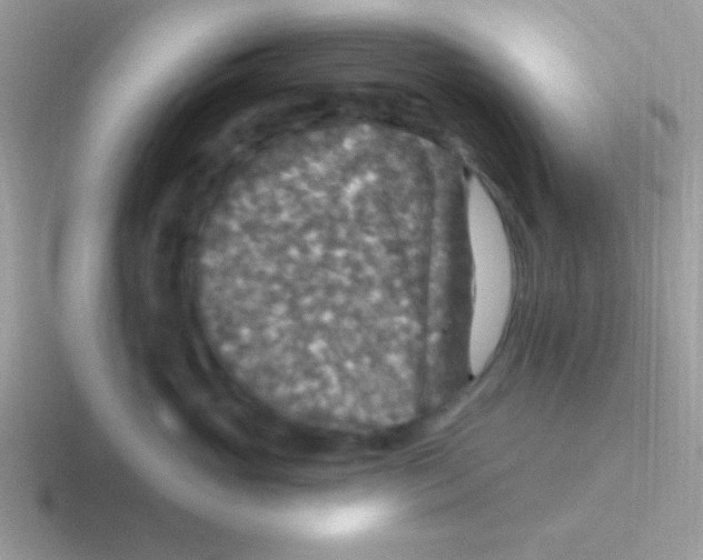 X0000116590765201001071234