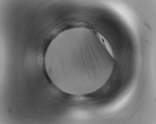 X0000116590767201001071234