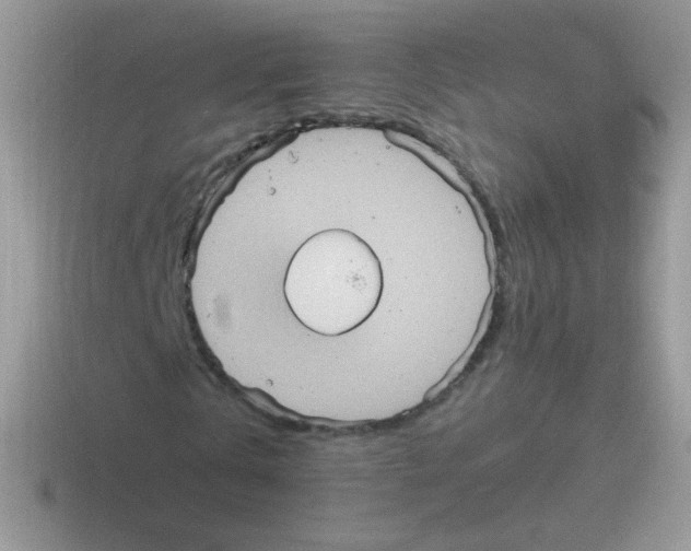 X0000116590769201001071233