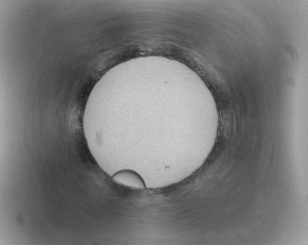 X0000116590770201001071233