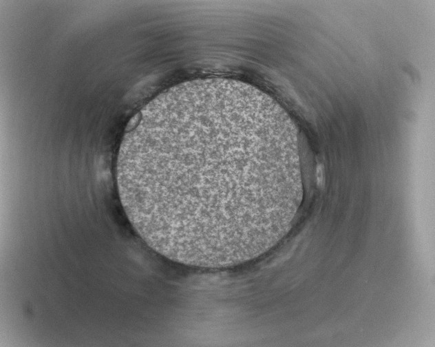 X0000116590771201001071233