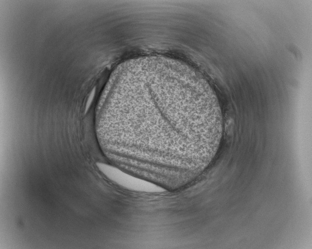 X0000116590772201001071233