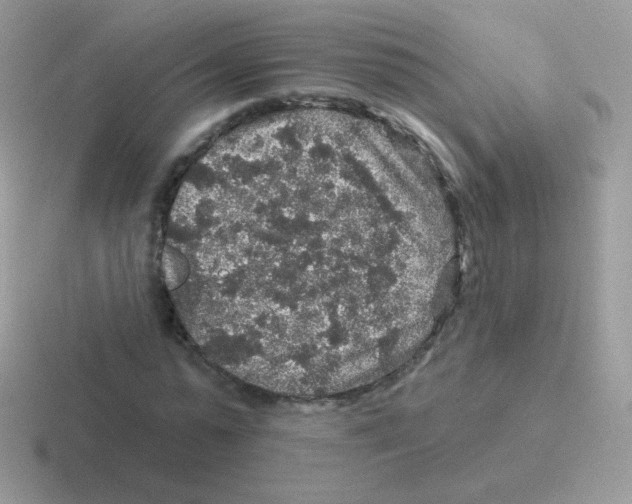 X0000116590775201001071233