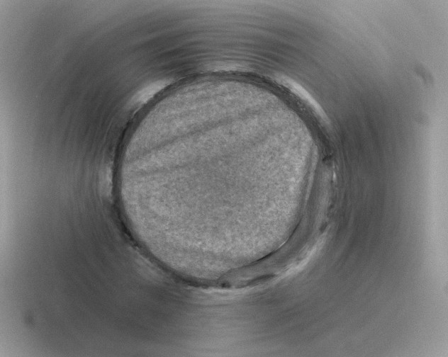 X0000116590777201001071233