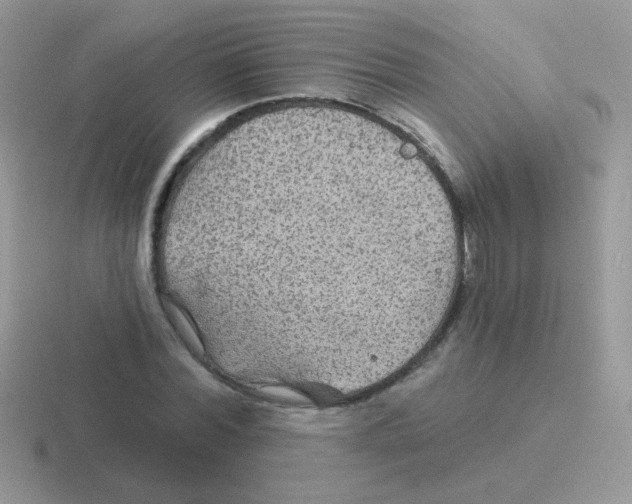 X0000116590780201001071233