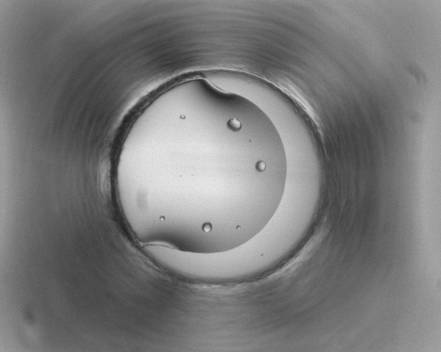 X0000116590781201001071233