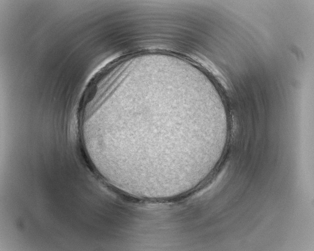 X0000116590782201001071233