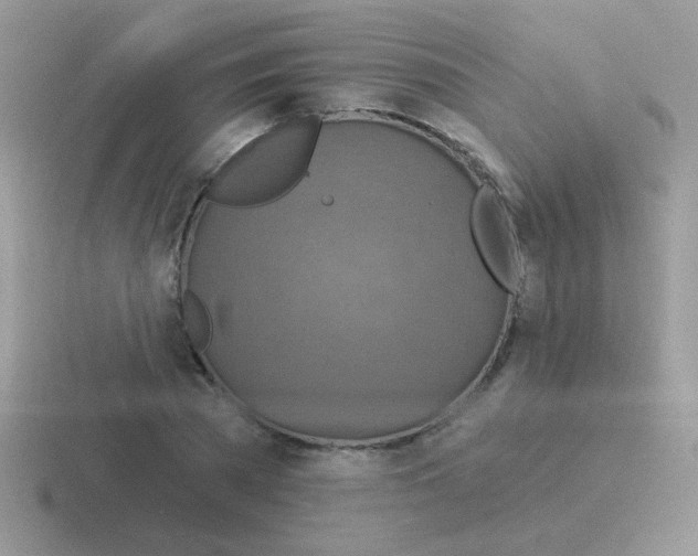 X0000116590785201001071233