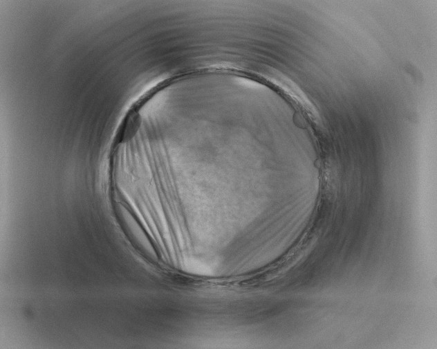 X0000116590790201001071233