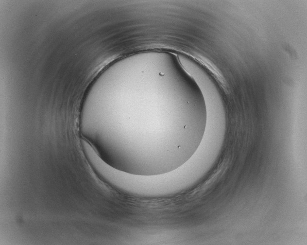 X0000116590793201001071233