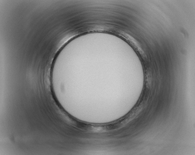 X0000116590794201001071233