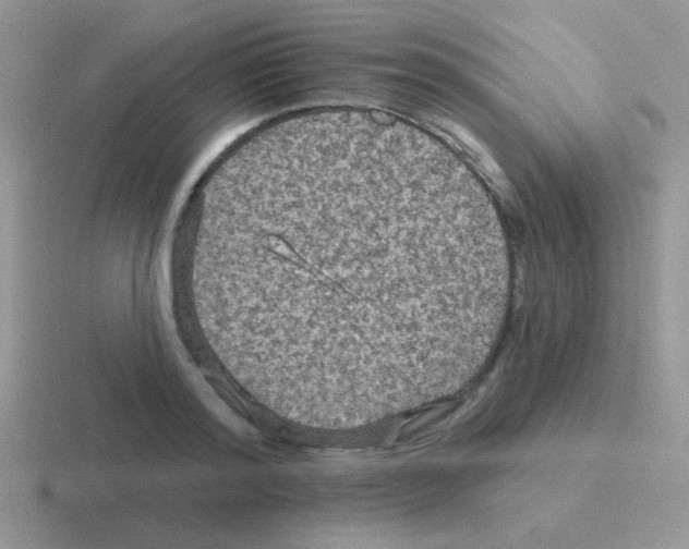 X0000116590796201001071233