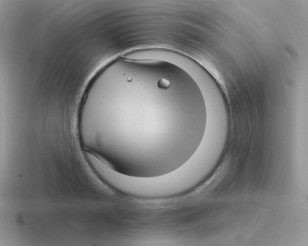 X0000116590797201001071233