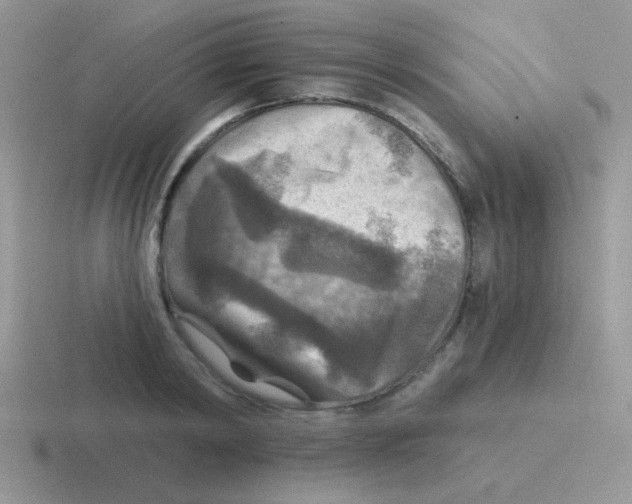 X0000116590798201001071233