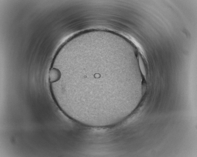 X0000116590799201001071233