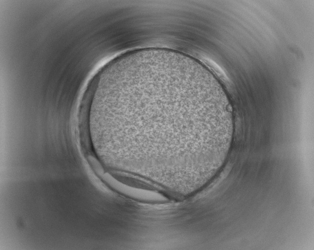 X0000116590800201001071233