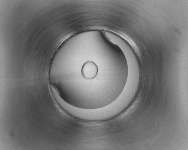 X0000116590801201001071233