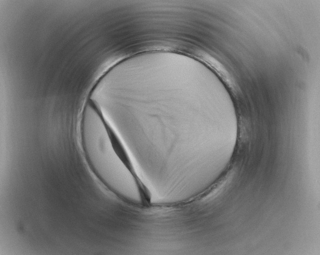 X0000116590802201001071233