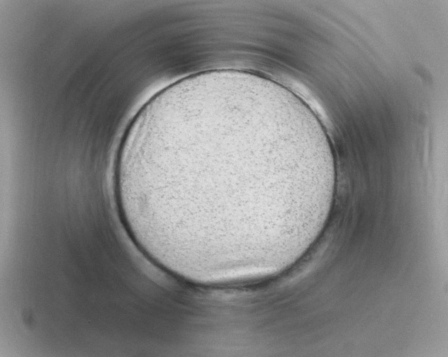 X0000116590803201001071233