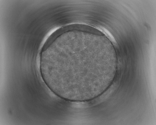 X0000116590804201001071233