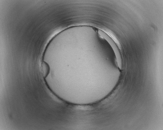 X0000116590805201001071233