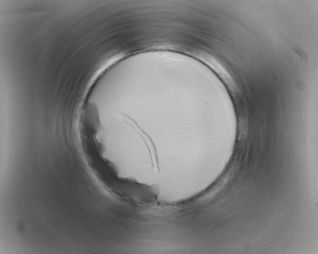 X0000116590806201001071233