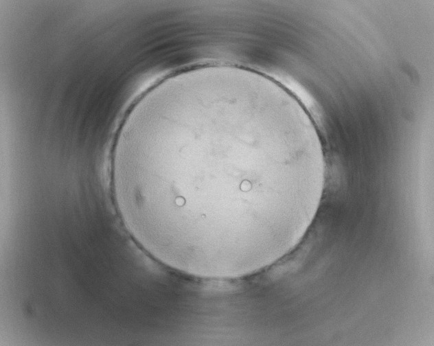 X0000116590807201001071233