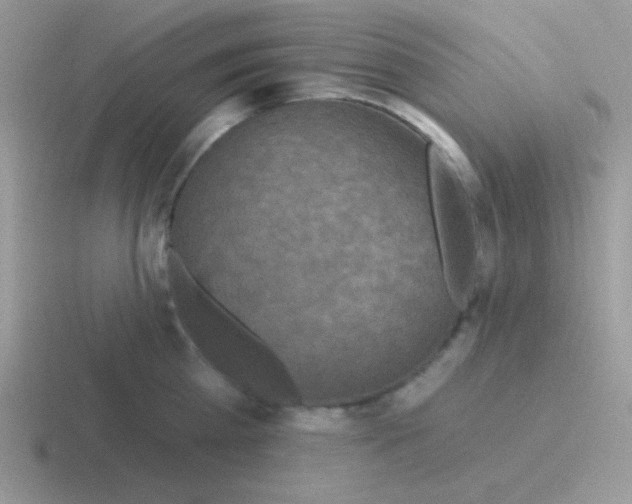 X0000116590809201001071233