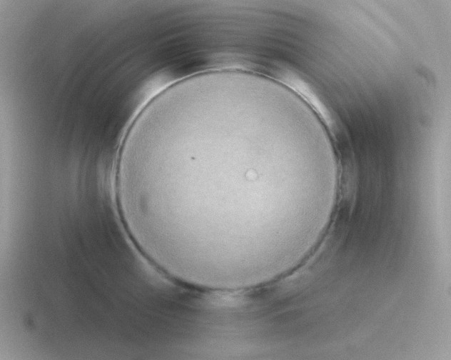 X0000116590810201001071233