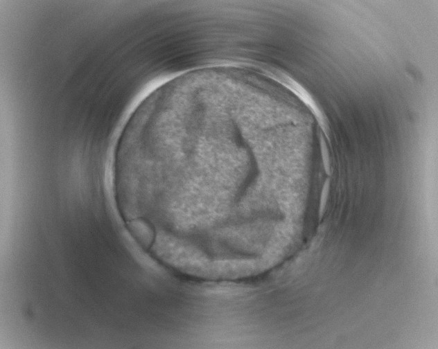 X0000116590811201001071233