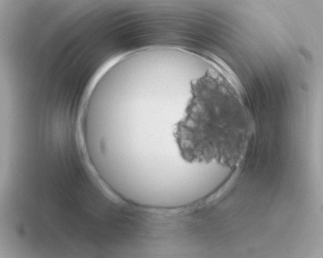 X0000116590812201001071233