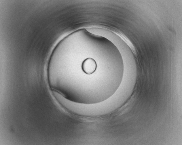 X0000116590813201001071232