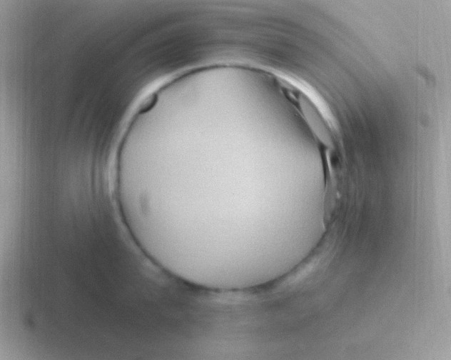 X0000116590815201001071232